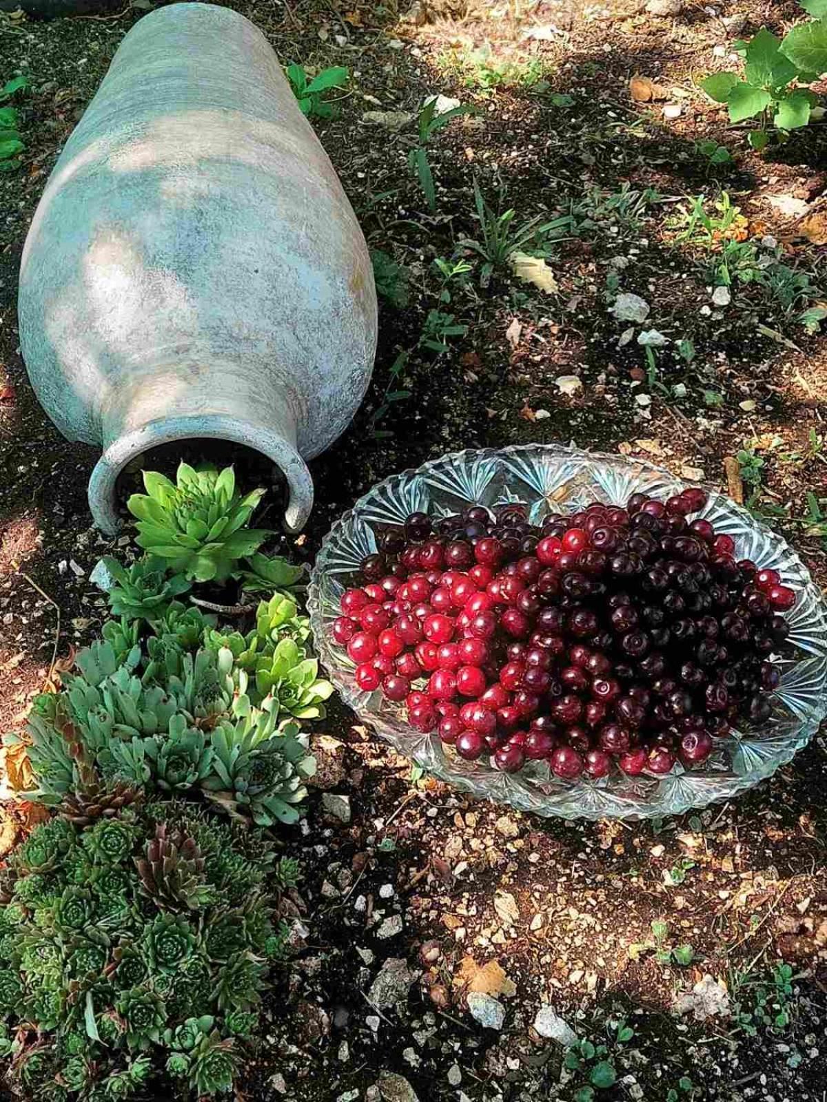 Aria Διαμέρισμα Τσέτινιε Εξωτερικό φωτογραφία